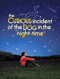 Curious Incident of the Dog in the Night Pdf : Download Now!